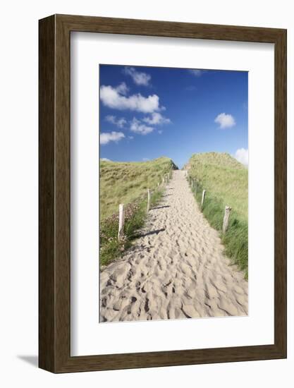 Path Through Dunes, Sylt, North Frisian Islands, Nordfriesland, Schleswig Holstein, Germany, Europe-Markus Lange-Framed Photographic Print