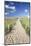 Path Through Dunes, Sylt, North Frisian Islands, Nordfriesland, Schleswig Holstein, Germany, Europe-Markus Lange-Mounted Photographic Print