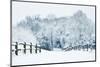 Path through English Rurual Countryside in Winter with Snow-Veneratio-Mounted Photographic Print