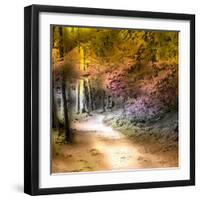 Path Through Forest 1-Janet Slater-Framed Photographic Print