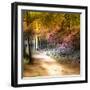 Path Through Forest 1-Janet Slater-Framed Photographic Print