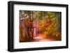 Path Through Forest 2-Janet Slater-Framed Photographic Print