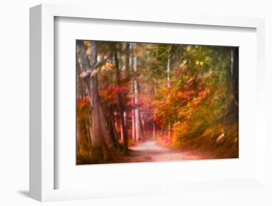 Path Through Forest 2-Janet Slater-Framed Photographic Print