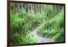 Path Through Forest  3-Janet Slater-Framed Photographic Print