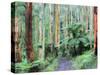 Path Through Forest, Dandenong Ranges, Victoria, Australia, Pacific-Schlenker Jochen-Stretched Canvas