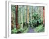 Path Through Forest, Dandenong Ranges, Victoria, Australia, Pacific-Schlenker Jochen-Framed Photographic Print