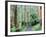Path Through Forest, Dandenong Ranges, Victoria, Australia, Pacific-Schlenker Jochen-Framed Photographic Print