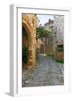 Path through Montefiorale-Igor Maloratsky-Framed Art Print