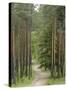 Path Through Pine Forest, Near Riga, Latvia, Baltic States, Europe-Gary Cook-Stretched Canvas