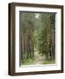 Path Through Pine Forest, Near Riga, Latvia, Baltic States, Europe-Gary Cook-Framed Photographic Print