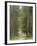 Path Through Pine Forest, Near Riga, Latvia, Baltic States, Europe-Gary Cook-Framed Photographic Print