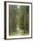 Path Through Pine Forest, Near Riga, Latvia, Baltic States, Europe-Gary Cook-Framed Photographic Print