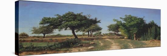 Path Through the Apples Trees-Antoine Chintreuil-Stretched Canvas