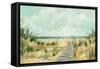 Path Through the Dunes-Silvia Vassileva-Framed Stretched Canvas