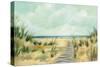 Path Through the Dunes-Silvia Vassileva-Stretched Canvas