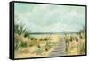 Path Through the Dunes-Silvia Vassileva-Framed Stretched Canvas