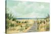 Path Through the Dunes-Silvia Vassileva-Stretched Canvas