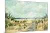 Path Through the Dunes-Silvia Vassileva-Mounted Art Print