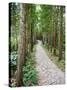 Path Through the Forest at My Son, UNESCO World Heritage Site, Vietnam, Indochina, Southeast Asia-Matthew Williams-Ellis-Stretched Canvas