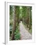 Path Through the Forest at My Son, UNESCO World Heritage Site, Vietnam, Indochina, Southeast Asia-Matthew Williams-Ellis-Framed Photographic Print