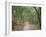 Path Through the Forest in Summer, Avon, England, United Kingdom-Michael Busselle-Framed Photographic Print