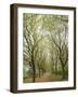 Path Through Tunnel of Trees at Monticello, Virginia, USA-Merrill Images-Framed Photographic Print