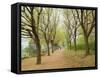 Path Through Tunnel of Trees at Monticello, Virginia, USA-Merrill Images-Framed Stretched Canvas