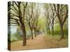 Path Through Tunnel of Trees at Monticello, Virginia, USA-Merrill Images-Stretched Canvas