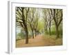 Path Through Tunnel of Trees at Monticello, Virginia, USA-Merrill Images-Framed Photographic Print