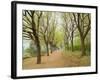 Path Through Tunnel of Trees at Monticello, Virginia, USA-Merrill Images-Framed Photographic Print