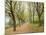 Path Through Tunnel of Trees at Monticello, Virginia, USA-Merrill Images-Mounted Photographic Print