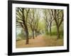 Path Through Tunnel of Trees at Monticello, Virginia, USA-Merrill Images-Framed Photographic Print