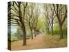 Path Through Tunnel of Trees at Monticello, Virginia, USA-Merrill Images-Stretched Canvas