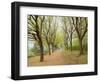 Path Through Tunnel of Trees at Monticello, Virginia, USA-Merrill Images-Framed Photographic Print