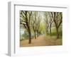 Path Through Tunnel of Trees at Monticello, Virginia, USA-Merrill Images-Framed Photographic Print