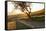 Path Through Vineyards in Autumn at Sunset-Marcus Lange-Framed Stretched Canvas