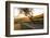 Path Through Vineyards in Autumn at Sunset-Marcus Lange-Framed Photographic Print