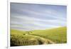 Path through Wheatfield-Terry Eggers-Framed Photographic Print