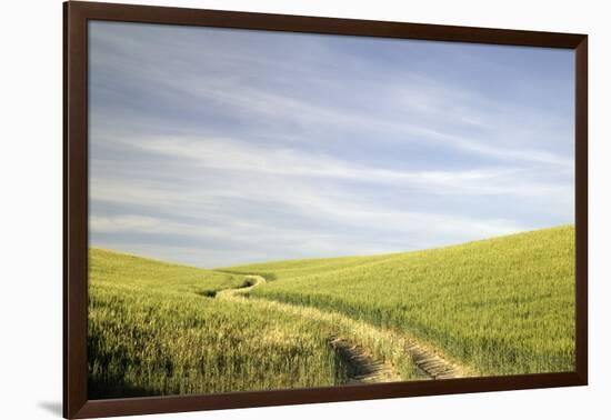 Path through Wheatfield-Terry Eggers-Framed Photographic Print