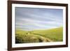 Path through Wheatfield-Terry Eggers-Framed Photographic Print