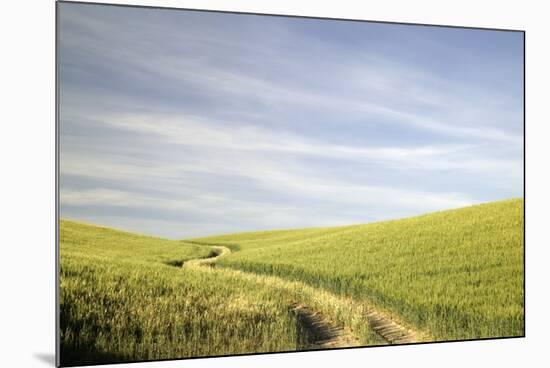 Path through Wheatfield-Terry Eggers-Mounted Photographic Print