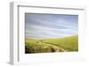 Path through Wheatfield-Terry Eggers-Framed Photographic Print