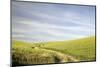 Path through Wheatfield-Terry Eggers-Mounted Photographic Print