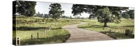 Path to a Perfect Place-Todd McPhetridge-Stretched Canvas