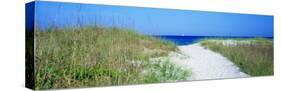 Path to Beach, Venice, Florida, USA-null-Stretched Canvas