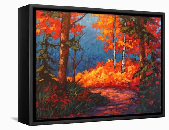Path to Kaaterskill Falls in Autumn-Patty Baker-Framed Stretched Canvas