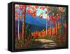 Path To Kaaterskill Falls-Patty Baker-Framed Stretched Canvas