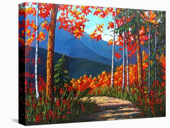 Path To Kaaterskill Falls-Patty Baker-Stretched Canvas