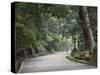 Path to Kasuga-Taisha Shrine, Nara, Kansai, Honshu, Japan-Schlenker Jochen-Stretched Canvas