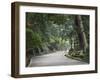 Path to Kasuga-Taisha Shrine, Nara, Kansai, Honshu, Japan-Schlenker Jochen-Framed Photographic Print